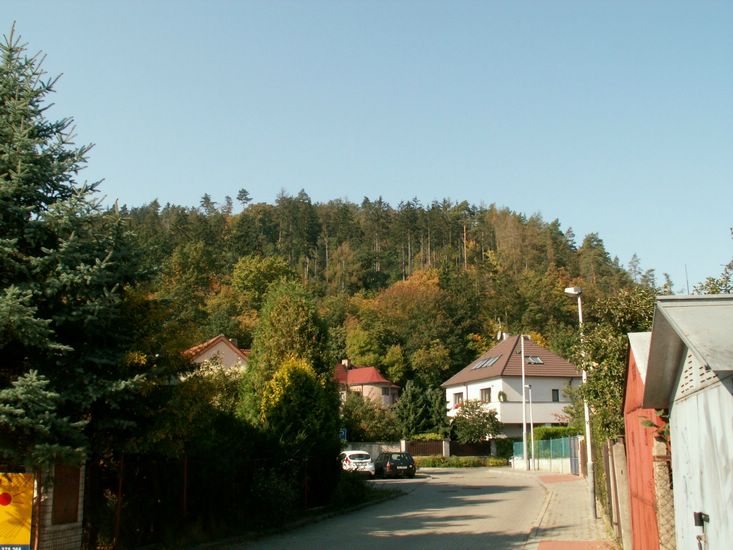 090926_PICT0007.JPG