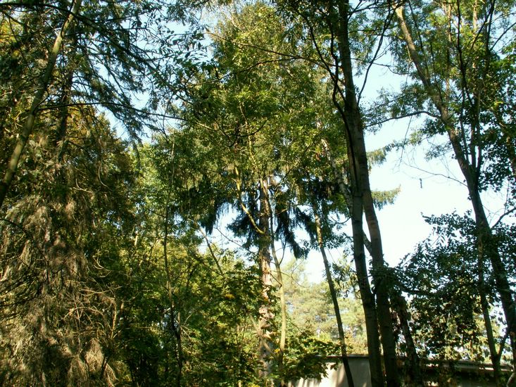 090926_PICT0014.JPG