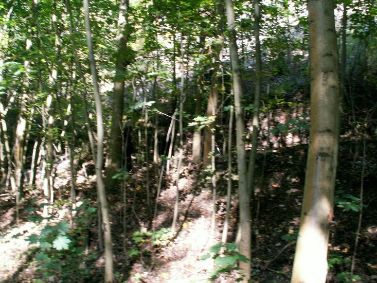 090926_PICT0015.JPG