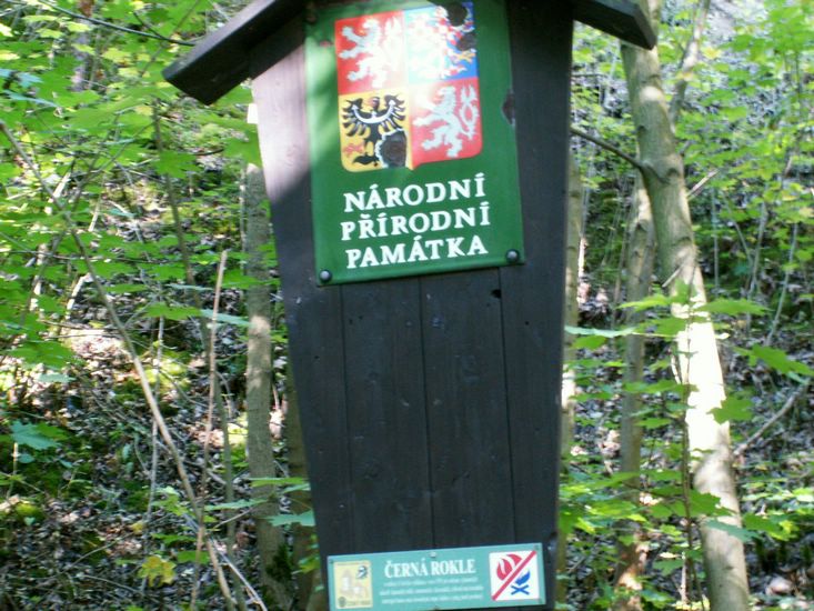 090926_PICT0016.JPG