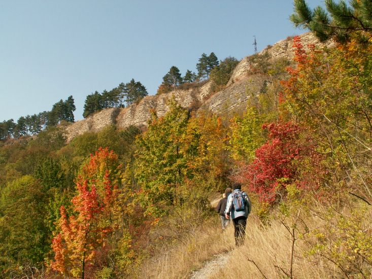 090926_PICT0018.JPG