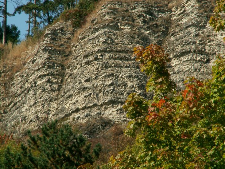 090926_PICT0019.JPG