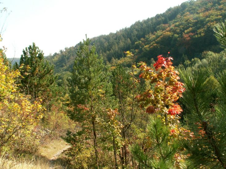 090926_PICT0021.JPG