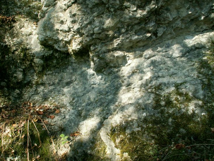 090926_PICT0022.JPG