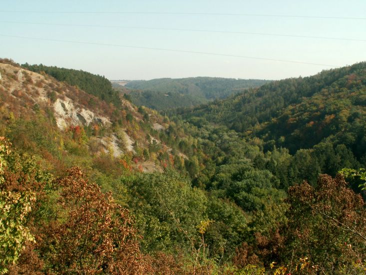 090926_PICT0024.JPG