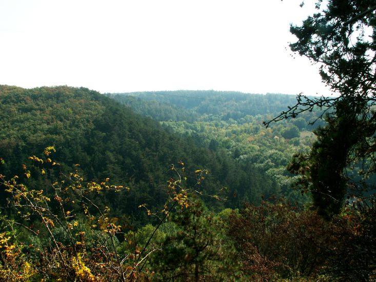 090926_PICT0025.JPG