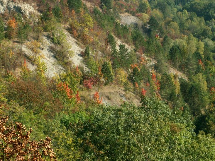 090926_PICT0027.JPG
