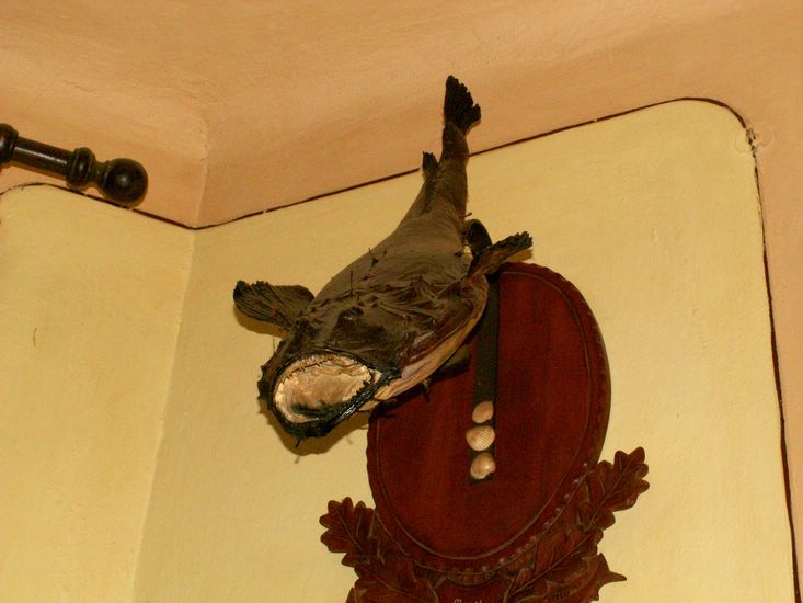 090926_PICT0042.JPG