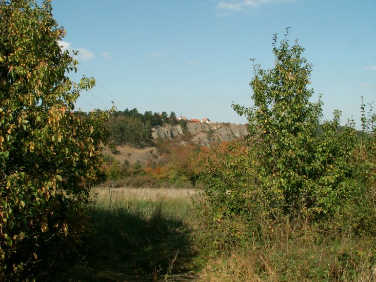 090926_PICT0046.JPG