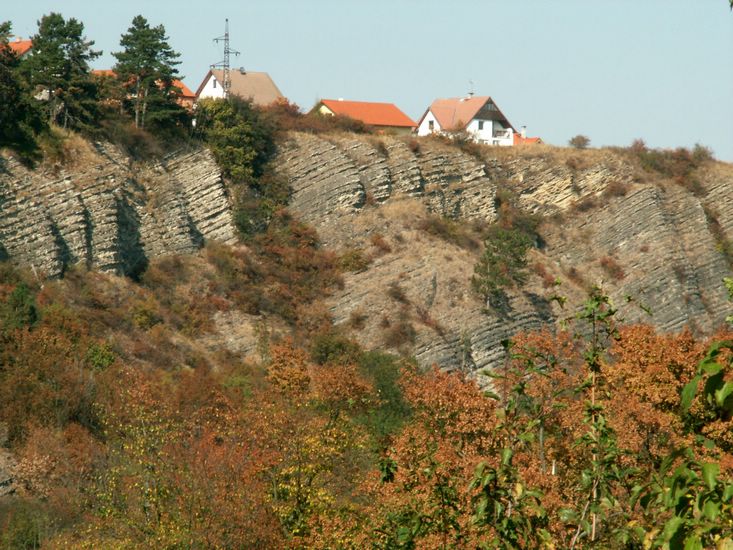 090926_PICT0047.JPG