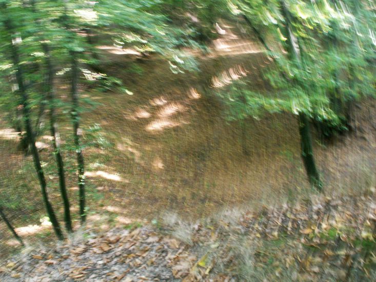 090926_PICT0049.JPG