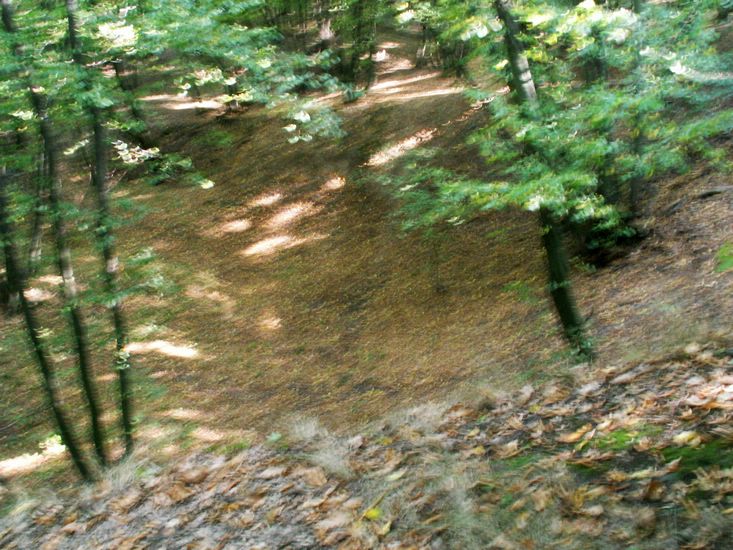 090926_PICT0050.JPG