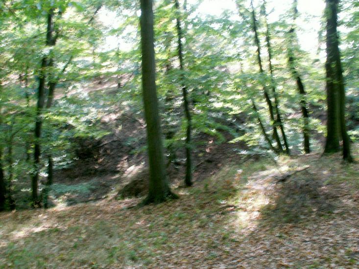 090926_PICT0052.JPG