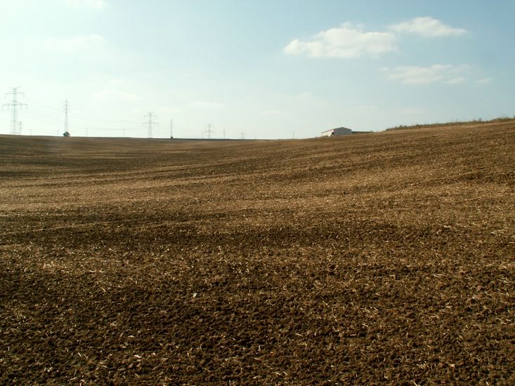 090926_PICT0053.JPG