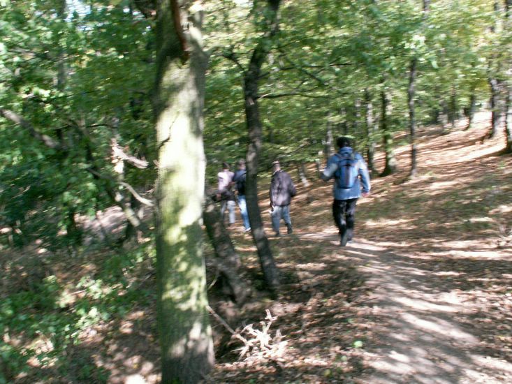090926_PICT0056.JPG