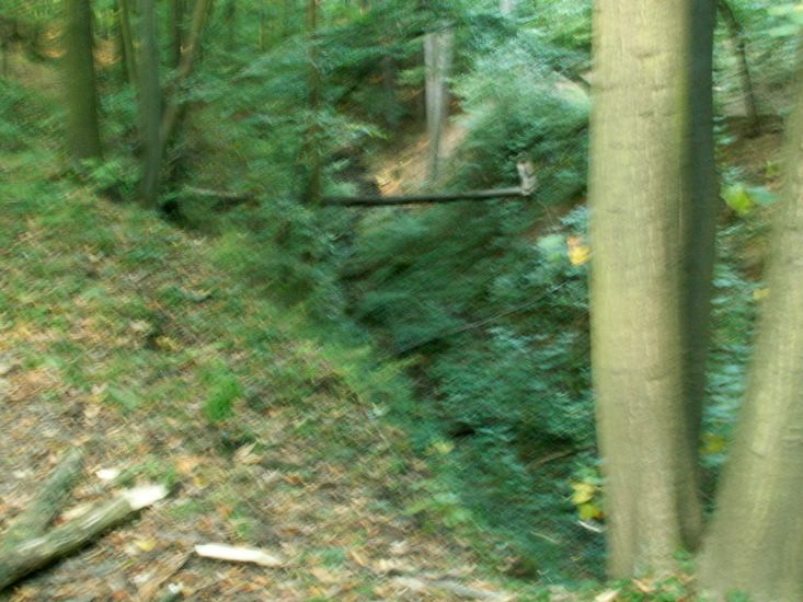 090926_PICT0059.JPG