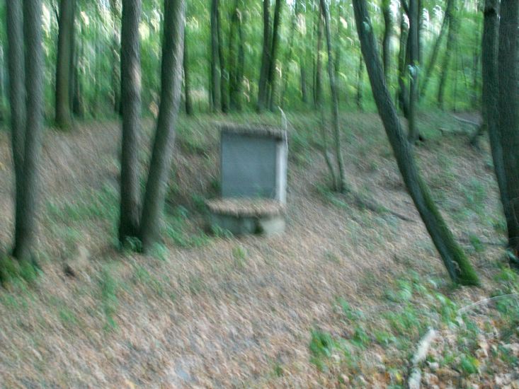 090926_PICT0060.JPG