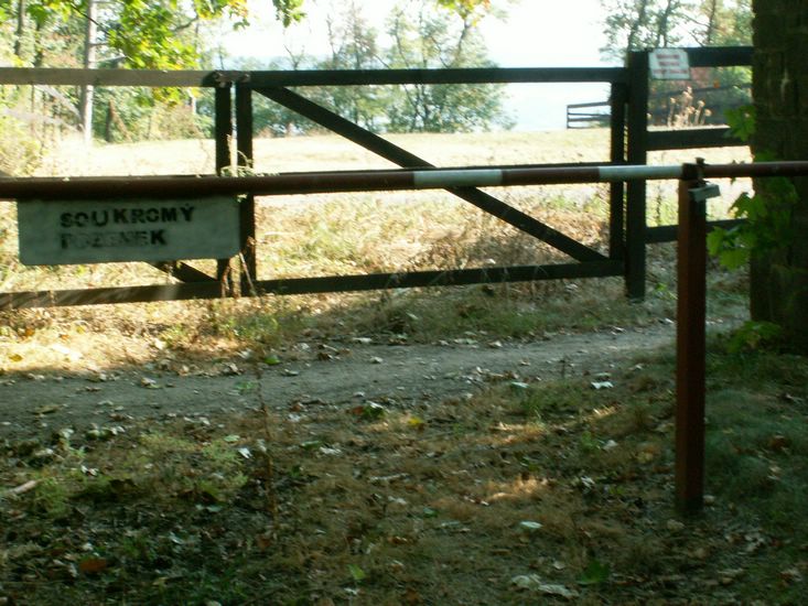 090926_PICT0062.JPG