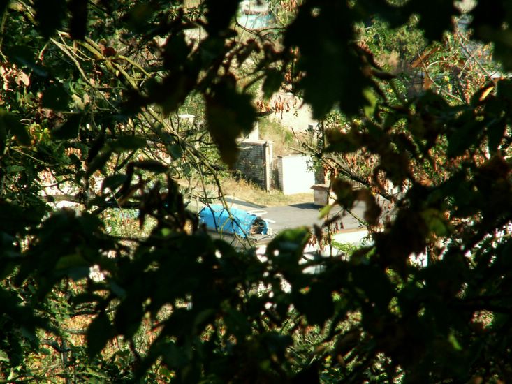 090926_PICT0064.JPG