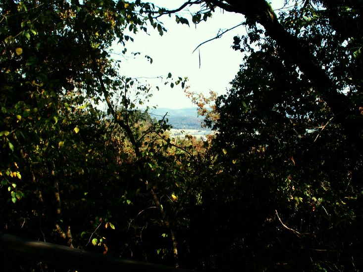 090926_PICT0065.JPG