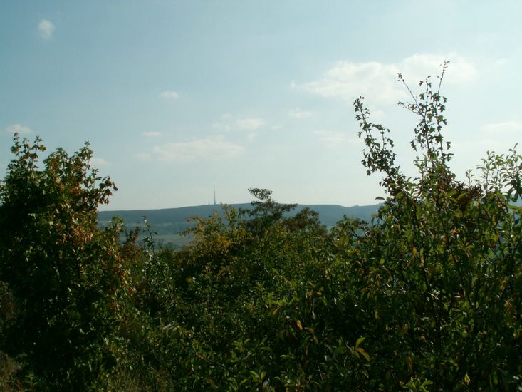 090926_PICT0070.JPG