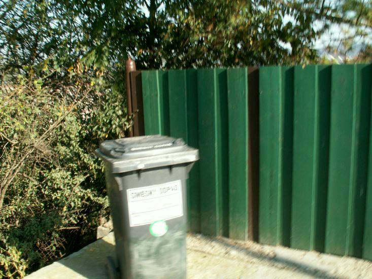 090926_PICT0081.JPG