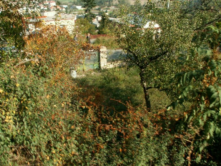 090926_PICT0082.JPG