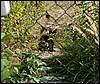 090926_PICT0010.JPG