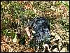 090926_PICT0023.JPG