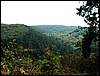 090926_PICT0025.JPG