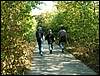 090926_PICT0048.JPG
