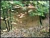 090926_PICT0049.JPG