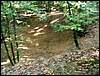 090926_PICT0050.JPG