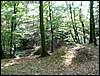 090926_PICT0052.JPG