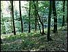 090926_PICT0057.JPG