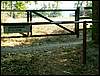 090926_PICT0062.JPG