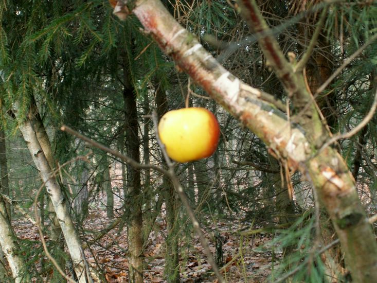 091227_PICT0015.JPG