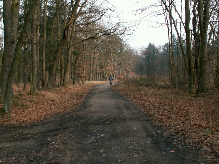 091227_PICT0027.JPG