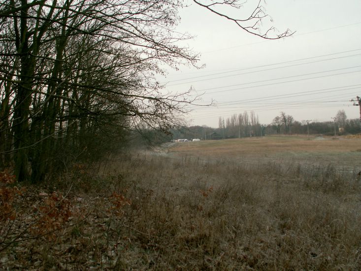 091227_PICT0030.JPG