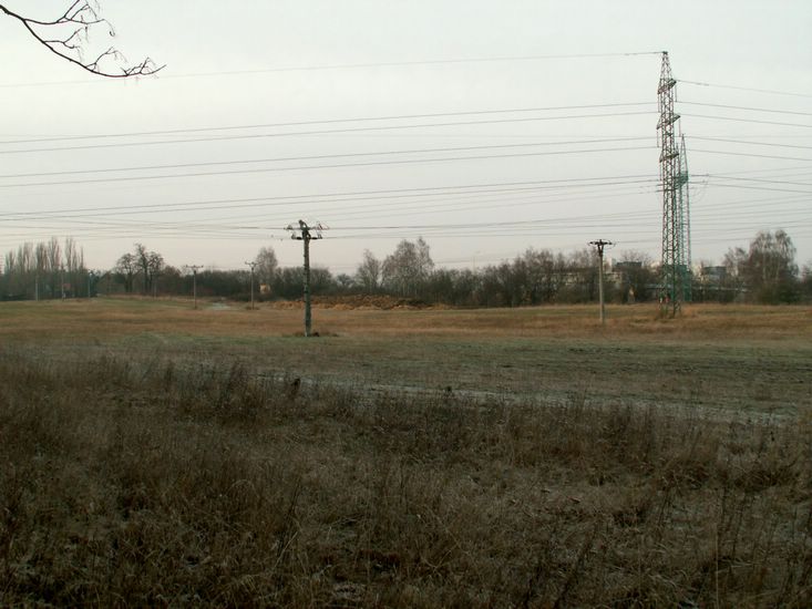 091227_PICT0031.JPG