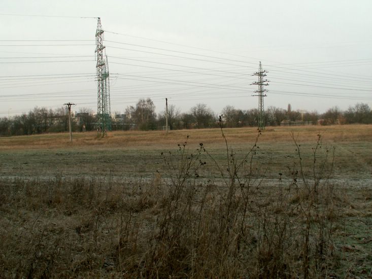 091227_PICT0032.JPG