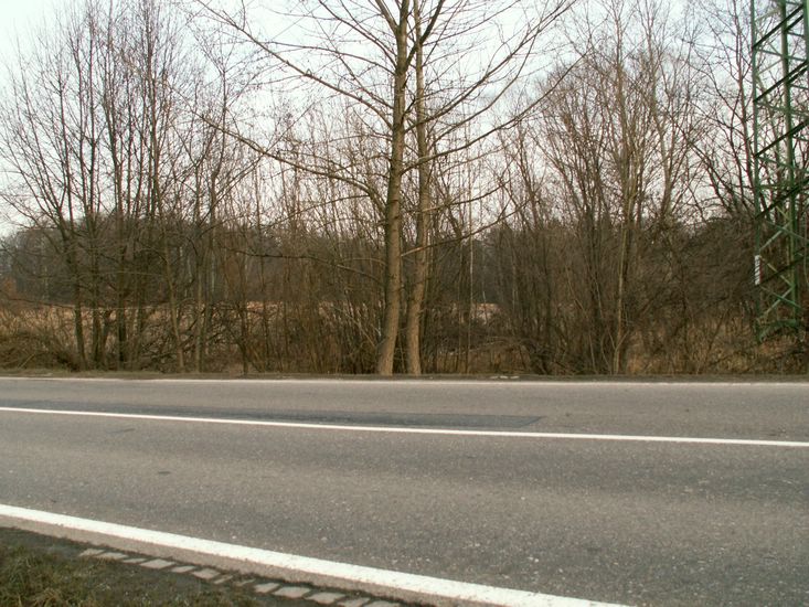 091227_PICT0043.JPG