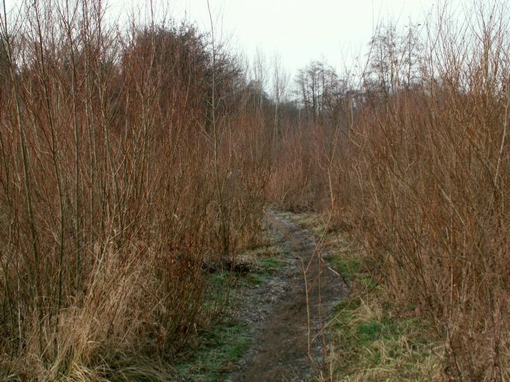091227_PICT0046.JPG