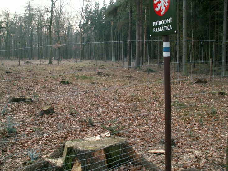 091227_PICT0048.JPG