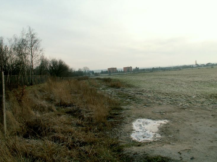 091227_PICT0055.JPG
