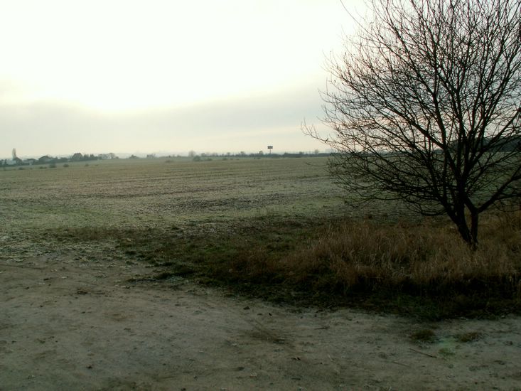 091227_PICT0057.JPG