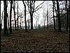 091227_PICT0028.JPG