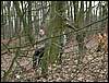 091227_PICT0034.JPG