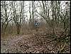 091227_PICT0049.JPG