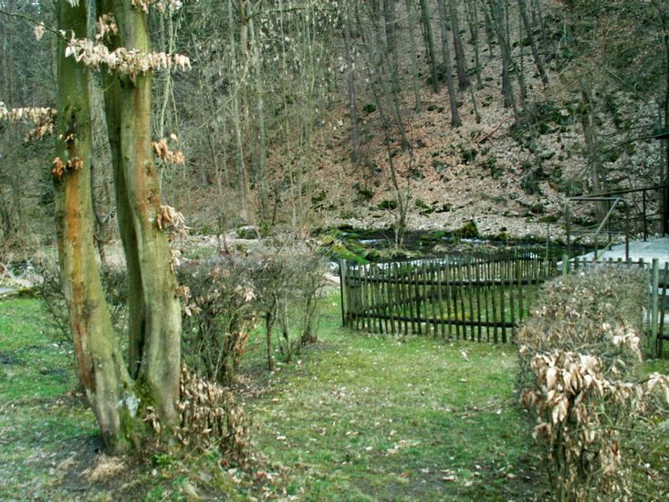 100403_PICT0074.JPG